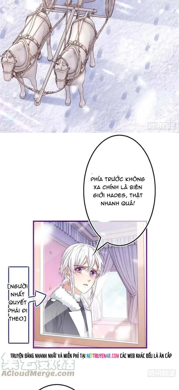 Chapter 103