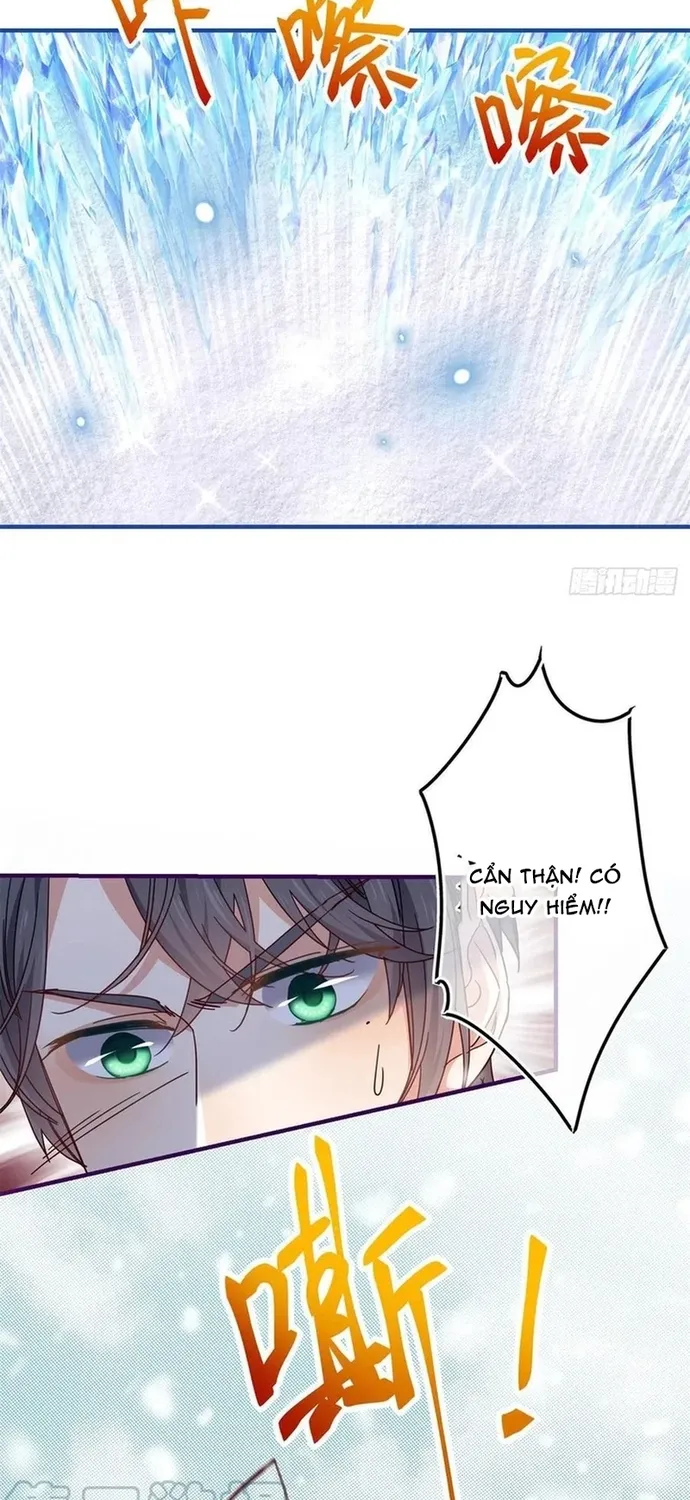 Chapter 103