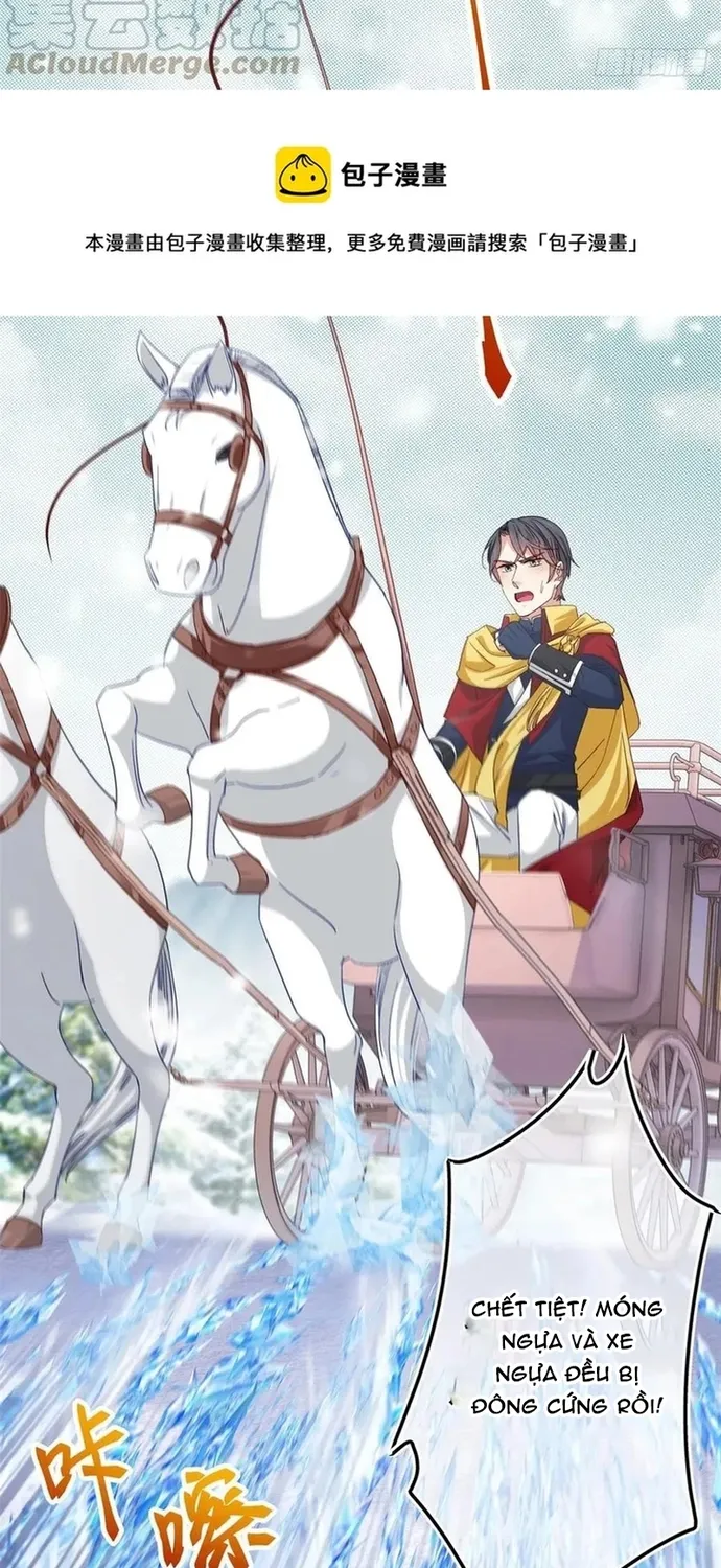 Chapter 103