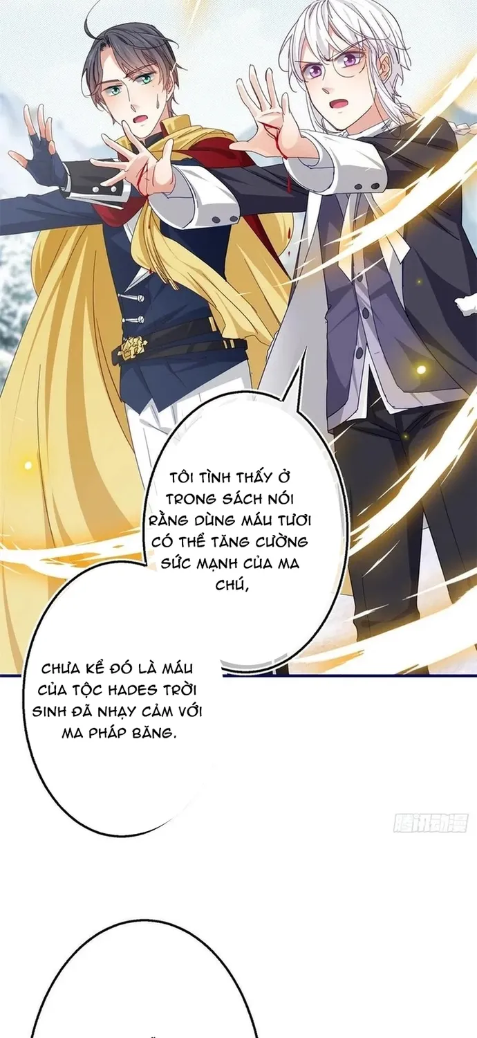 Chapter 103