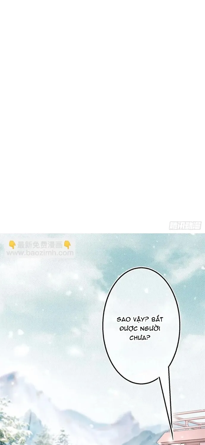 Chapter 104