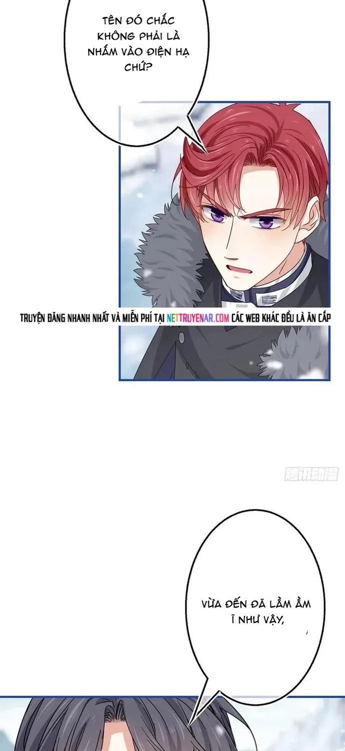Chapter 104