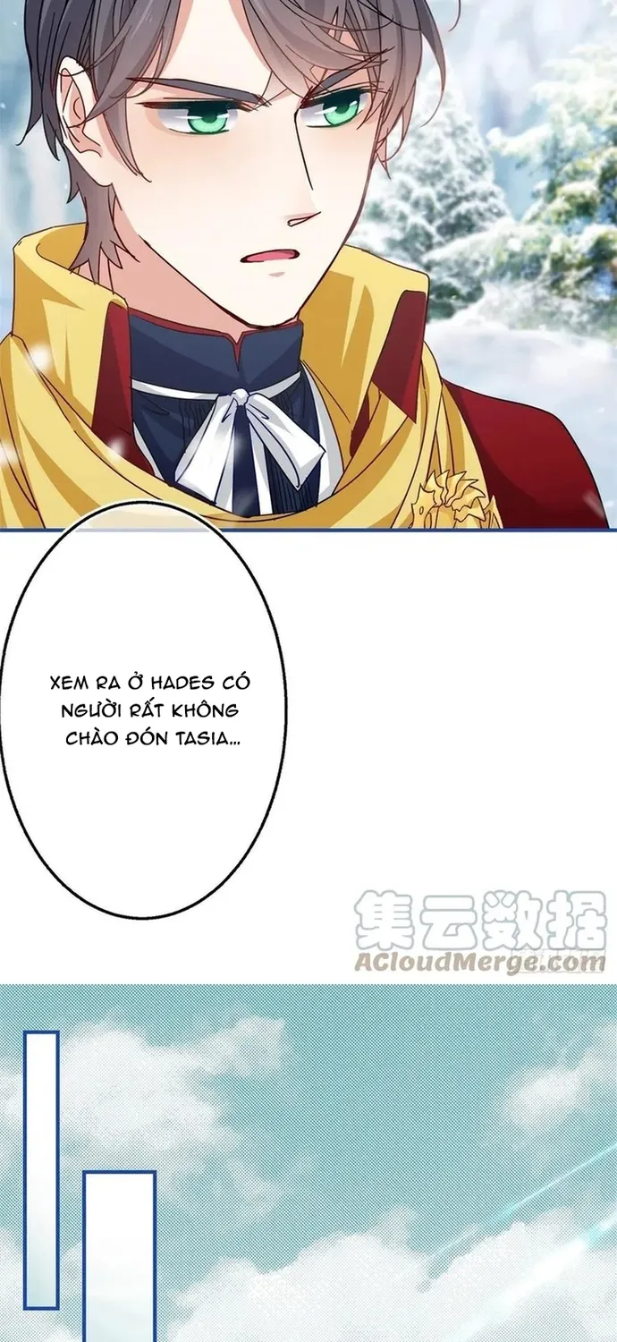Chapter 104