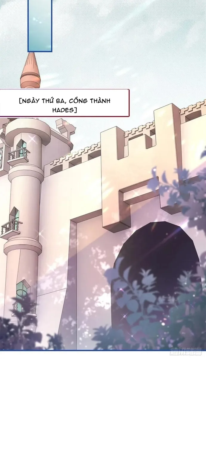 Chapter 104