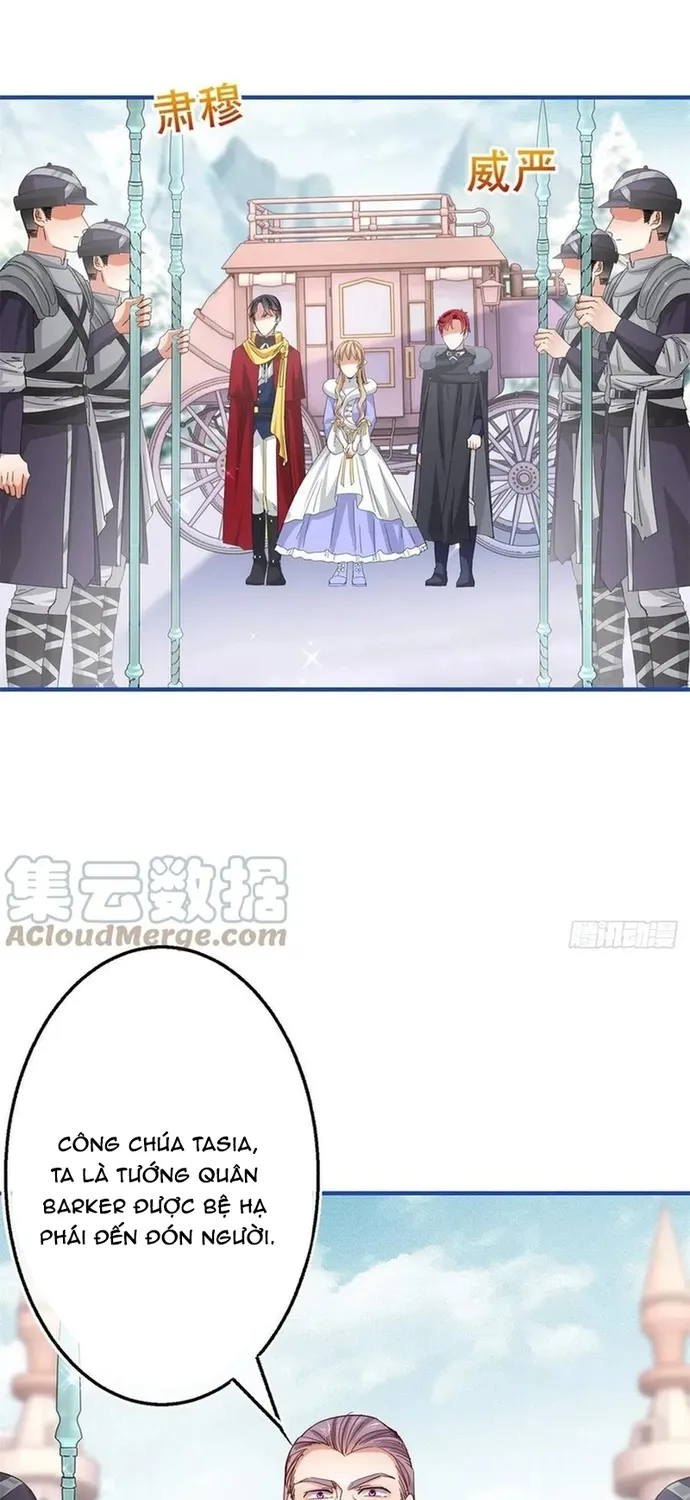 Chapter 104