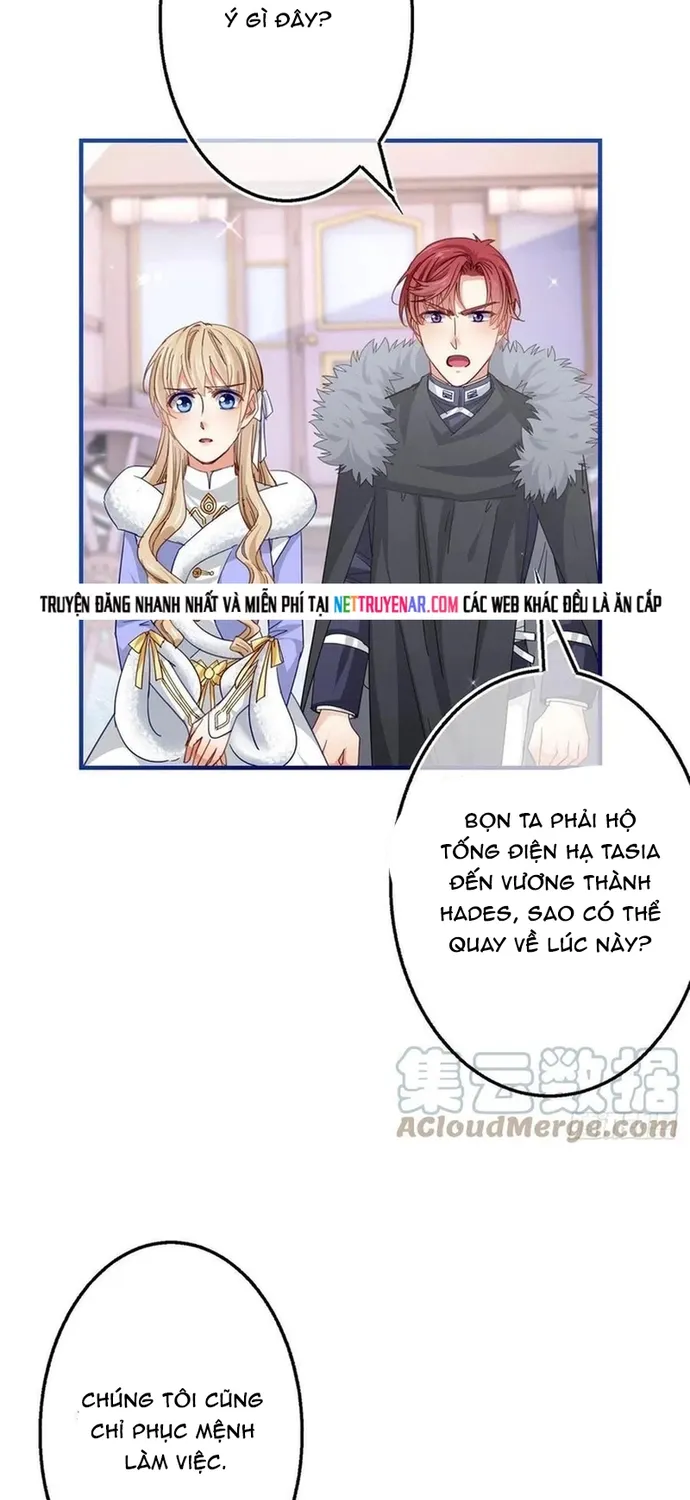 Chapter 104