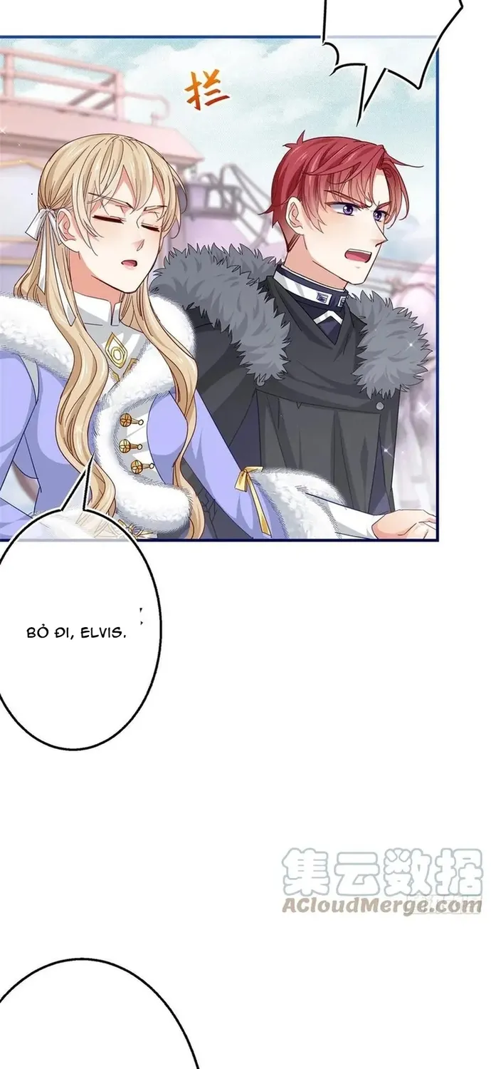 Chapter 104