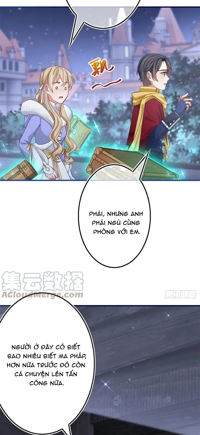 Chapter 104