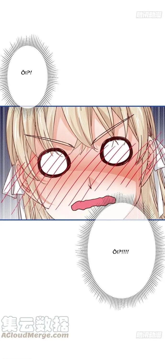 Chapter 104