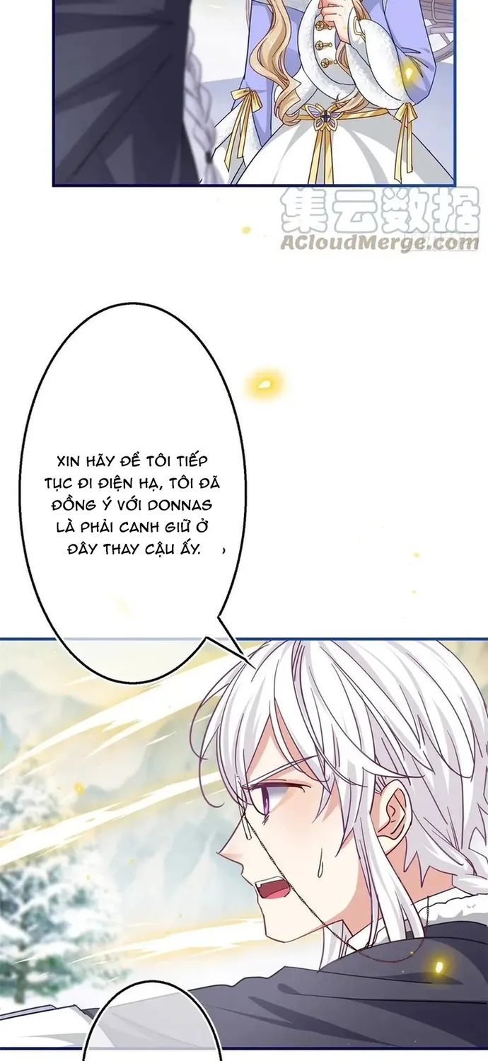 Chapter 104