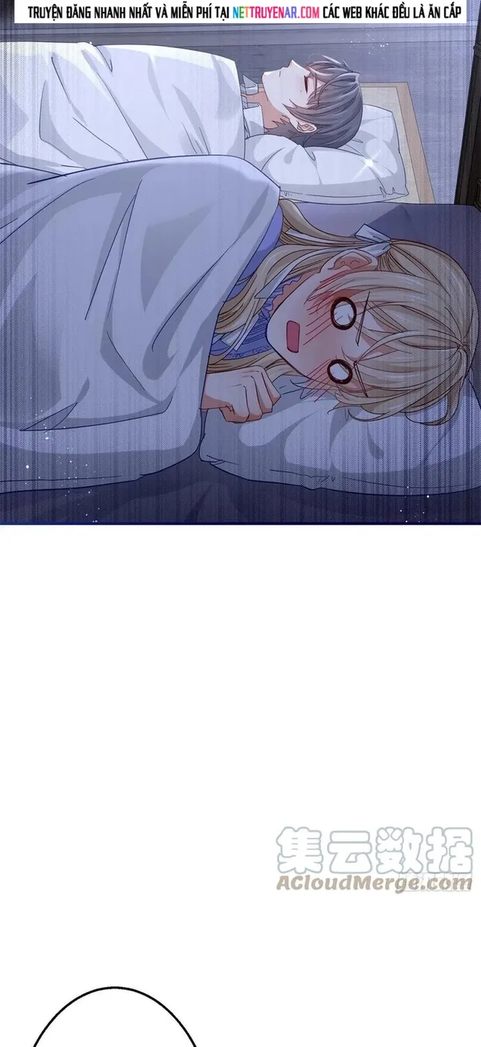 Chapter 104