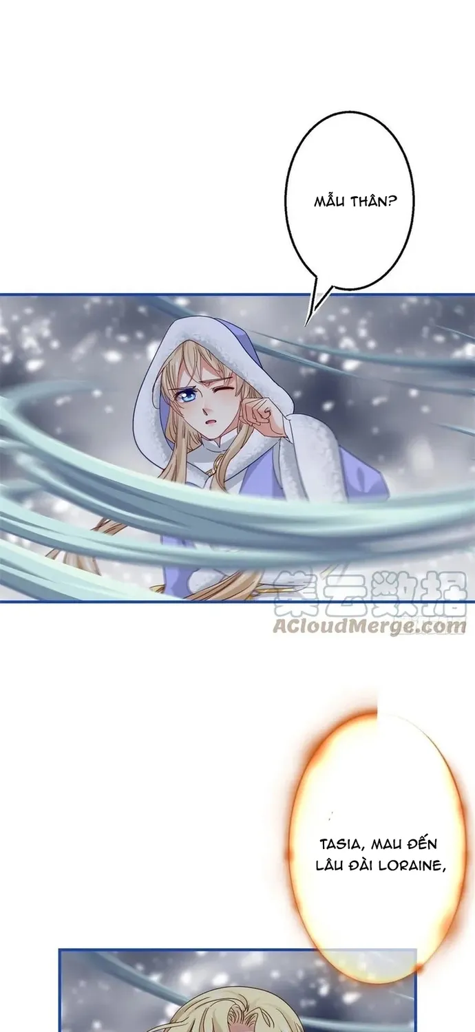 Chapter 104