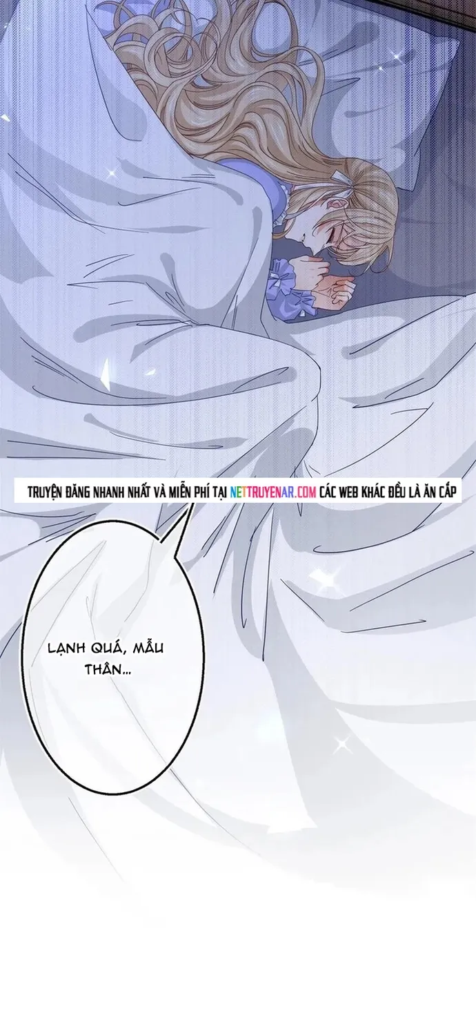 Chapter 104