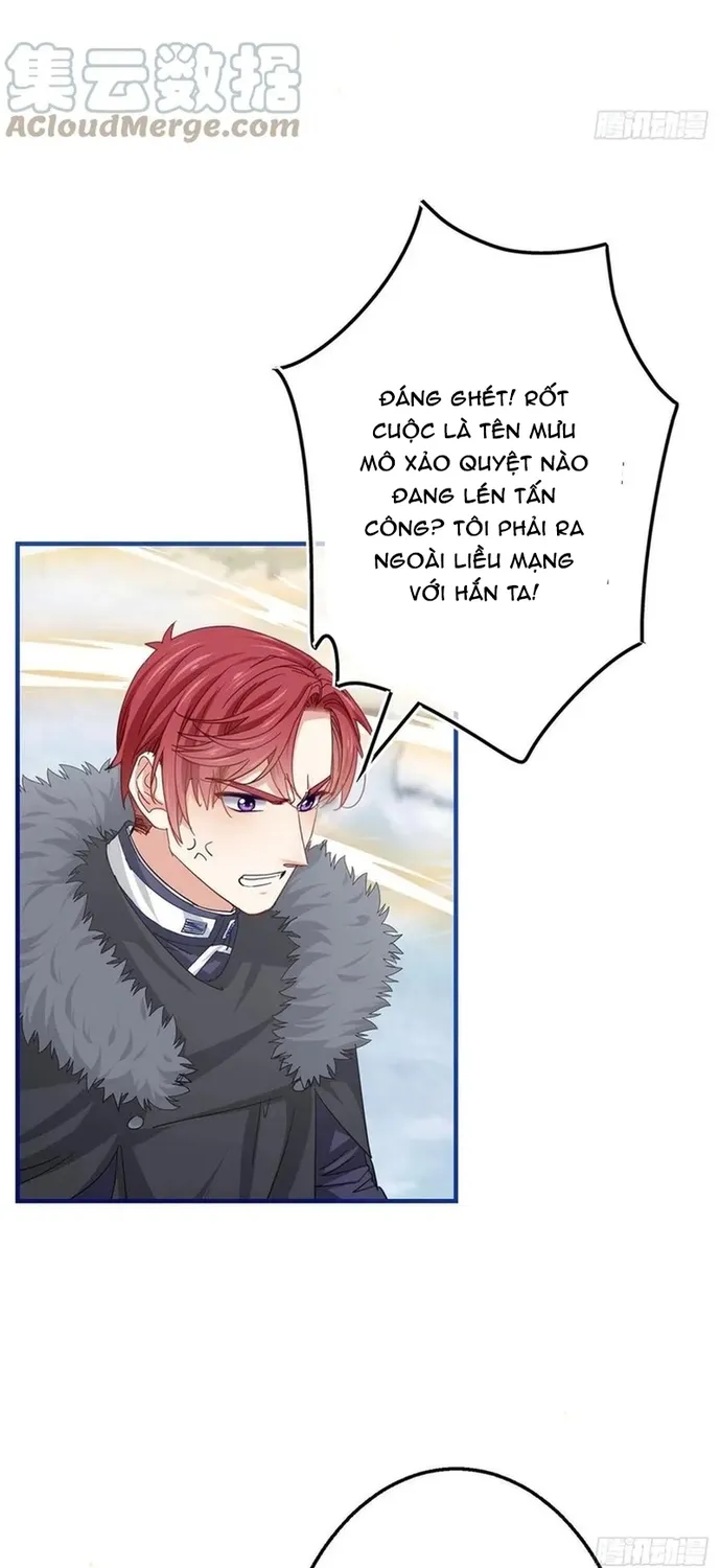 Chapter 104