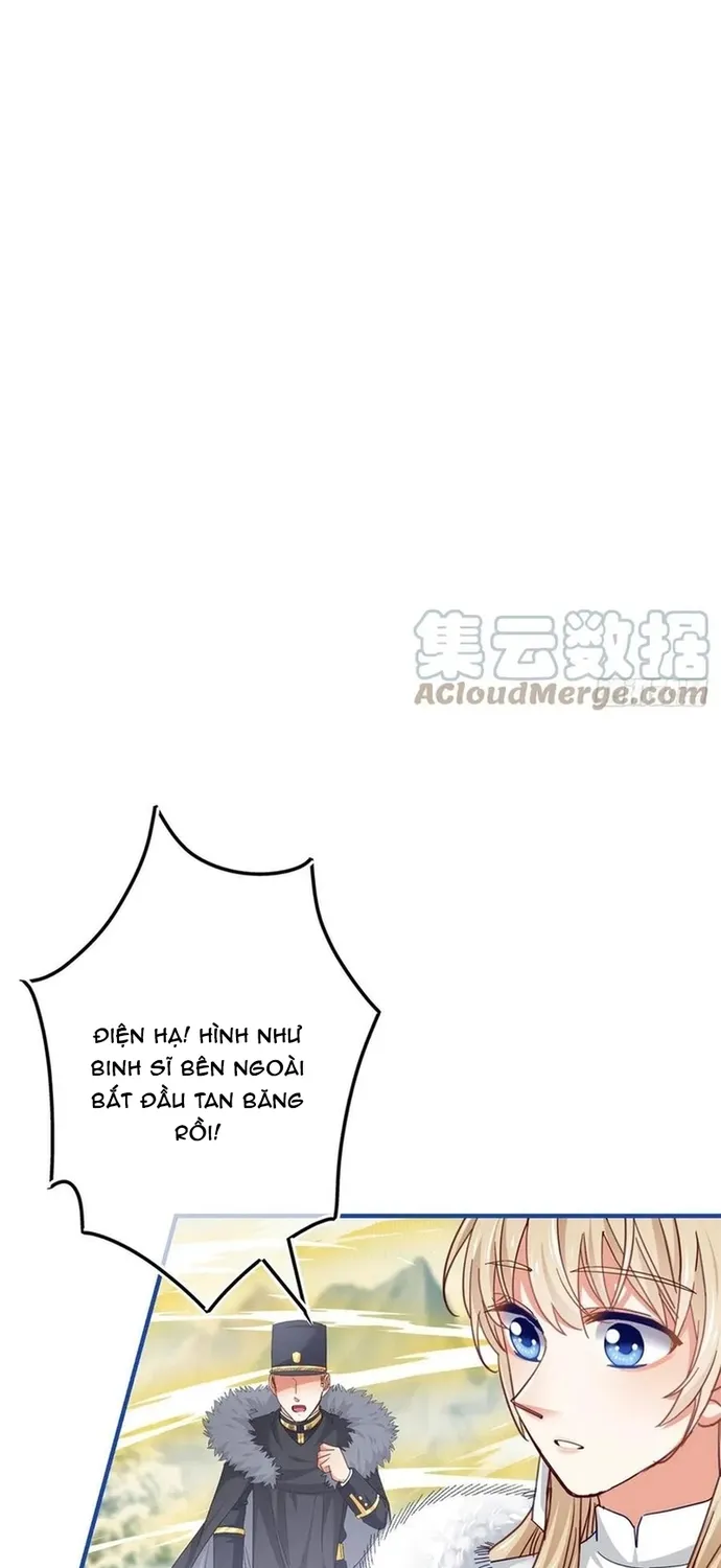 Chapter 104