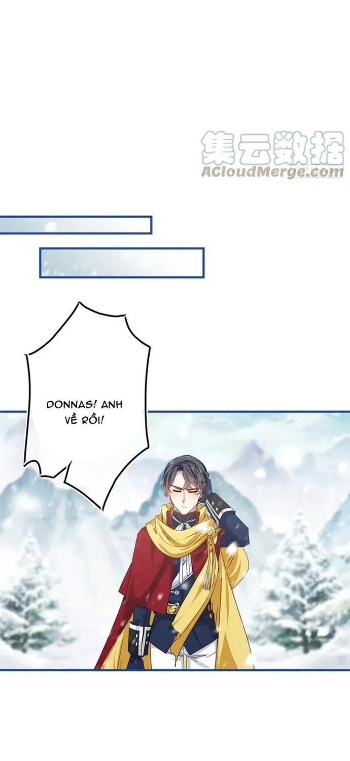 Chapter 104
