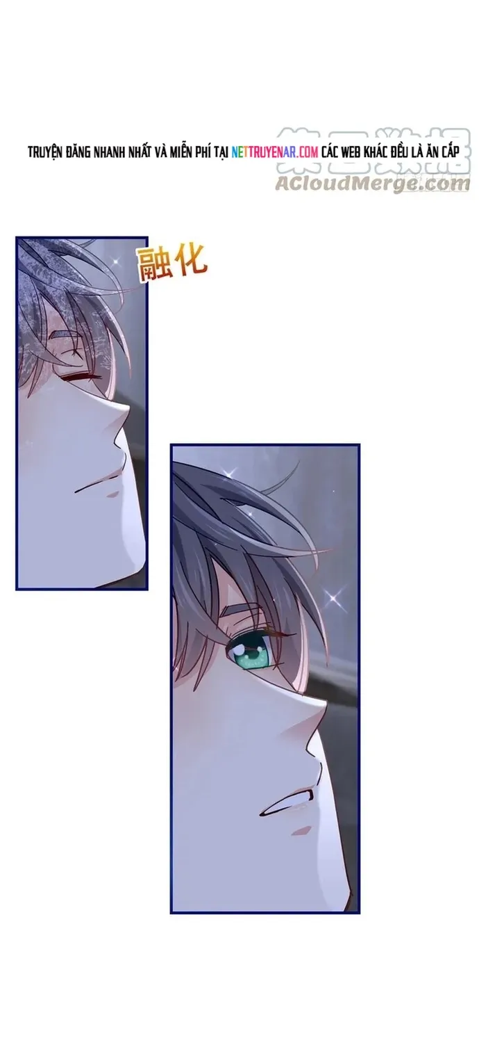 Chapter 105