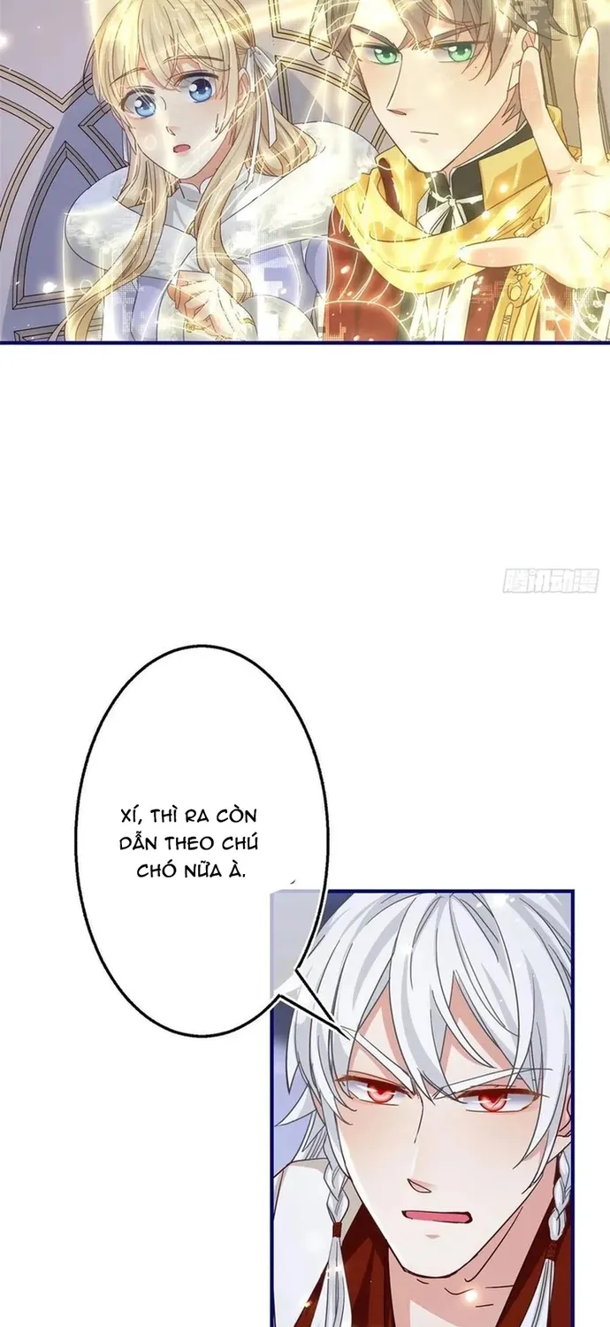 Chapter 107