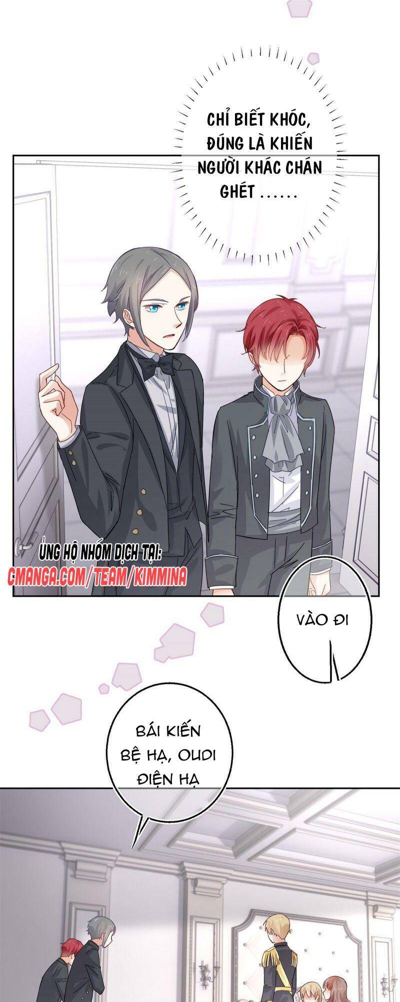Chapter 11
