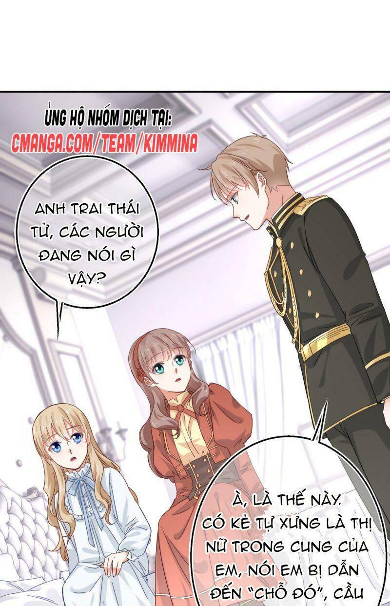 Chapter 11