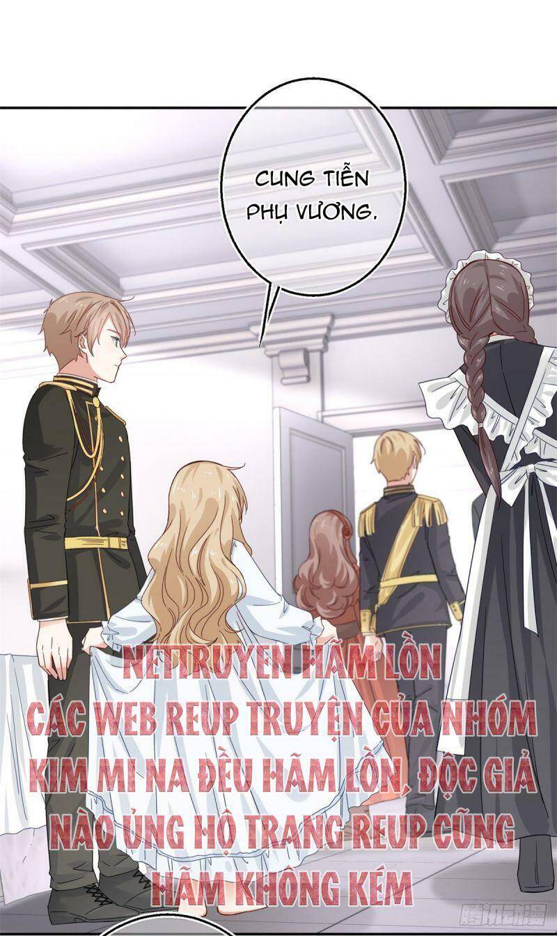 Chapter 11