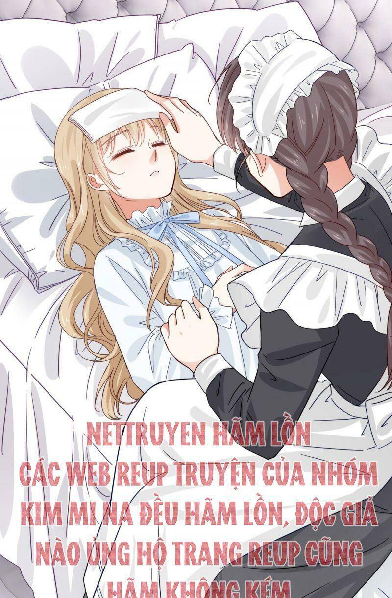 Chapter 11
