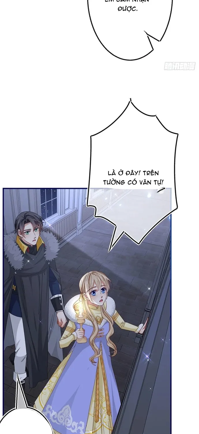 Chapter 113