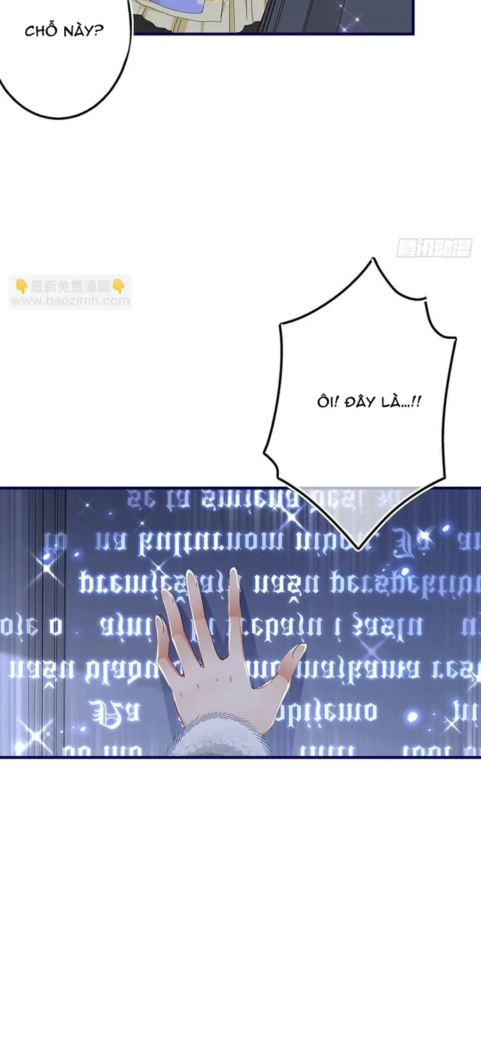 Chapter 113