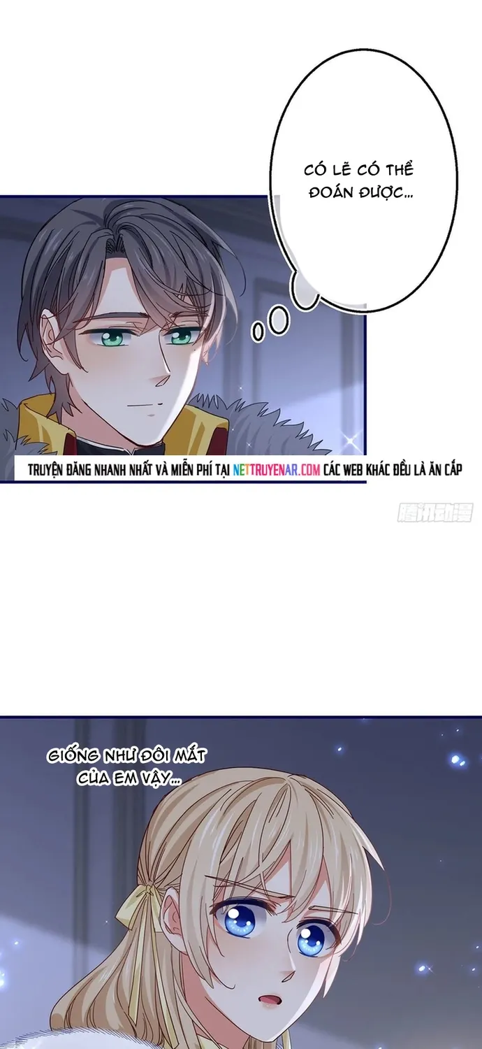 Chapter 113