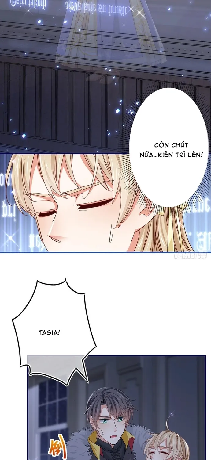 Chapter 113