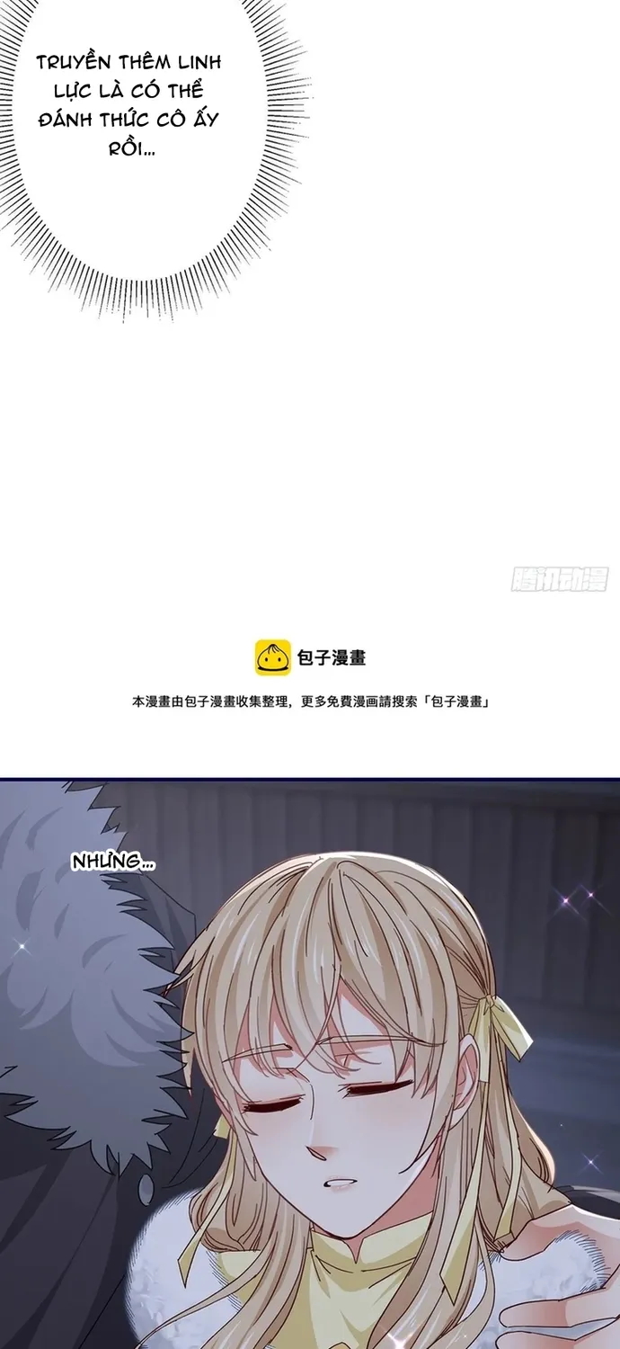 Chapter 113