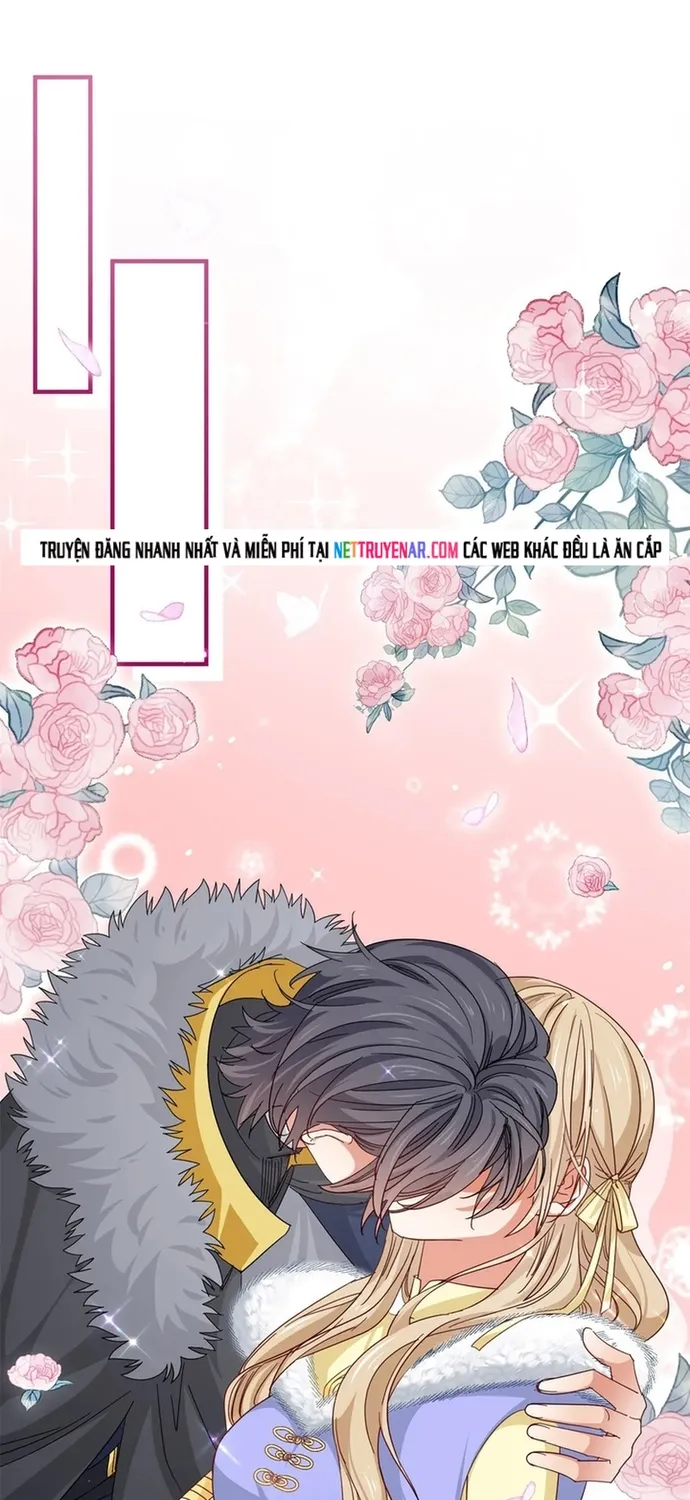 Chapter 114