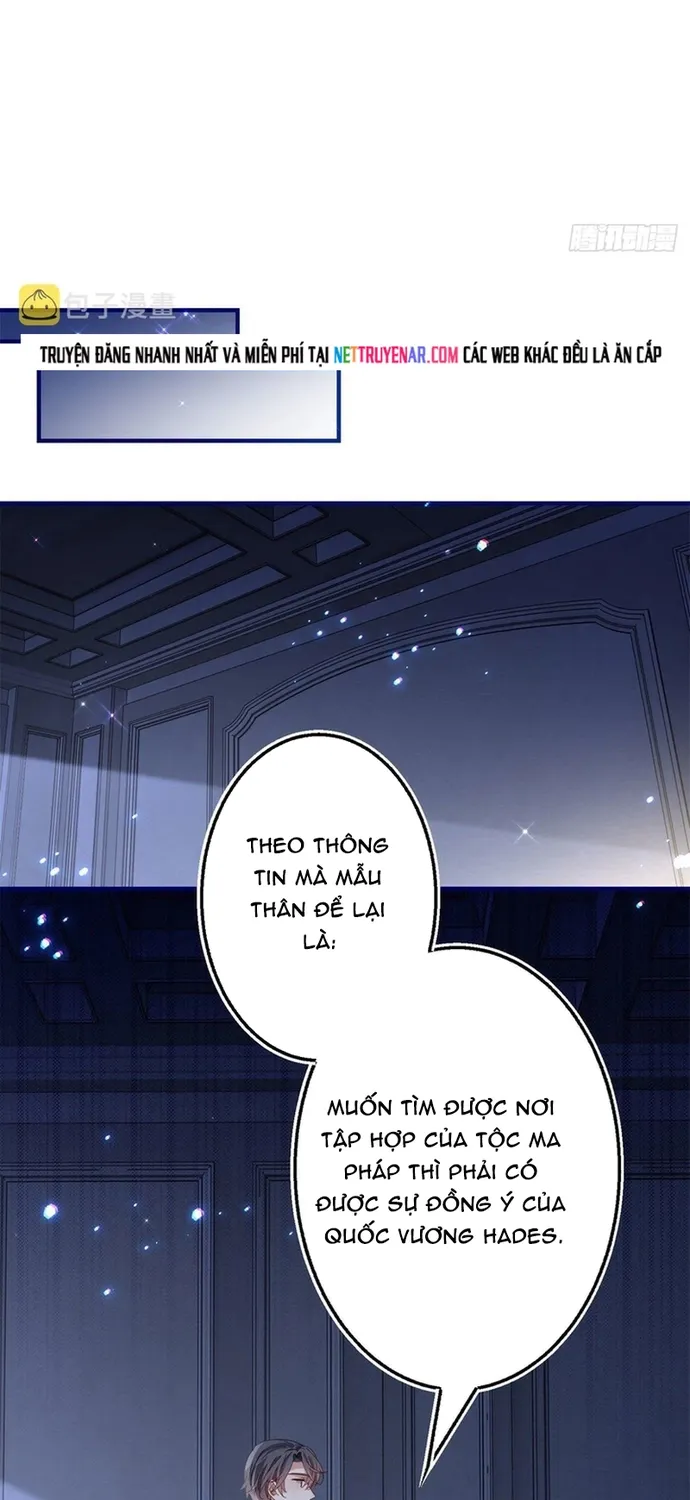 Chapter 114