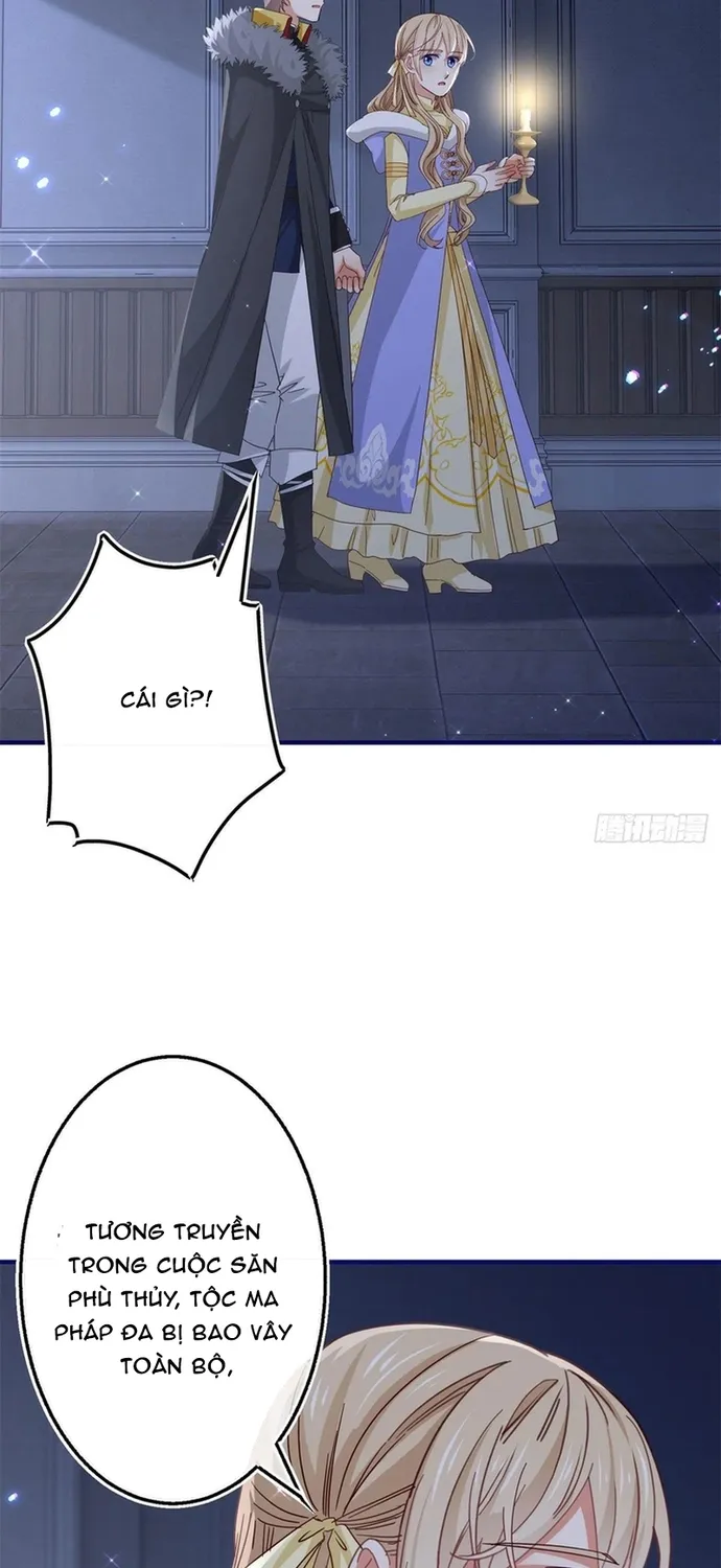 Chapter 114