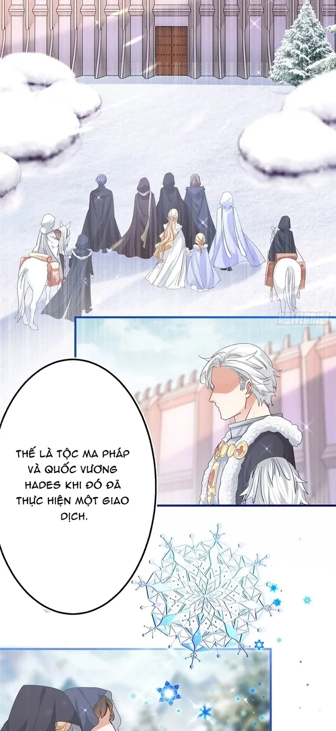 Chapter 114