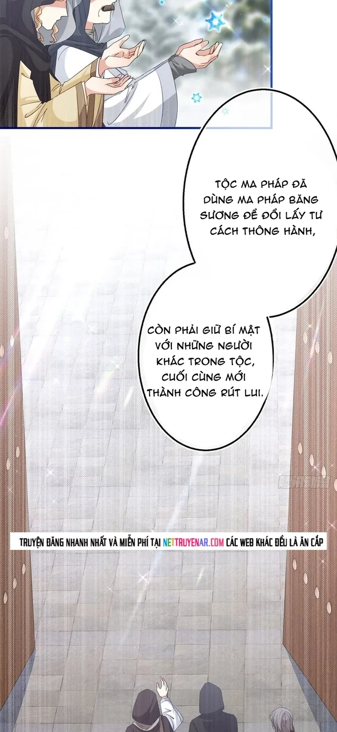 Chapter 114