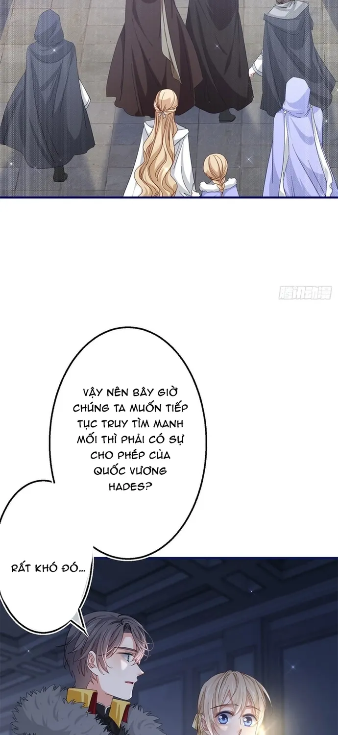 Chapter 114
