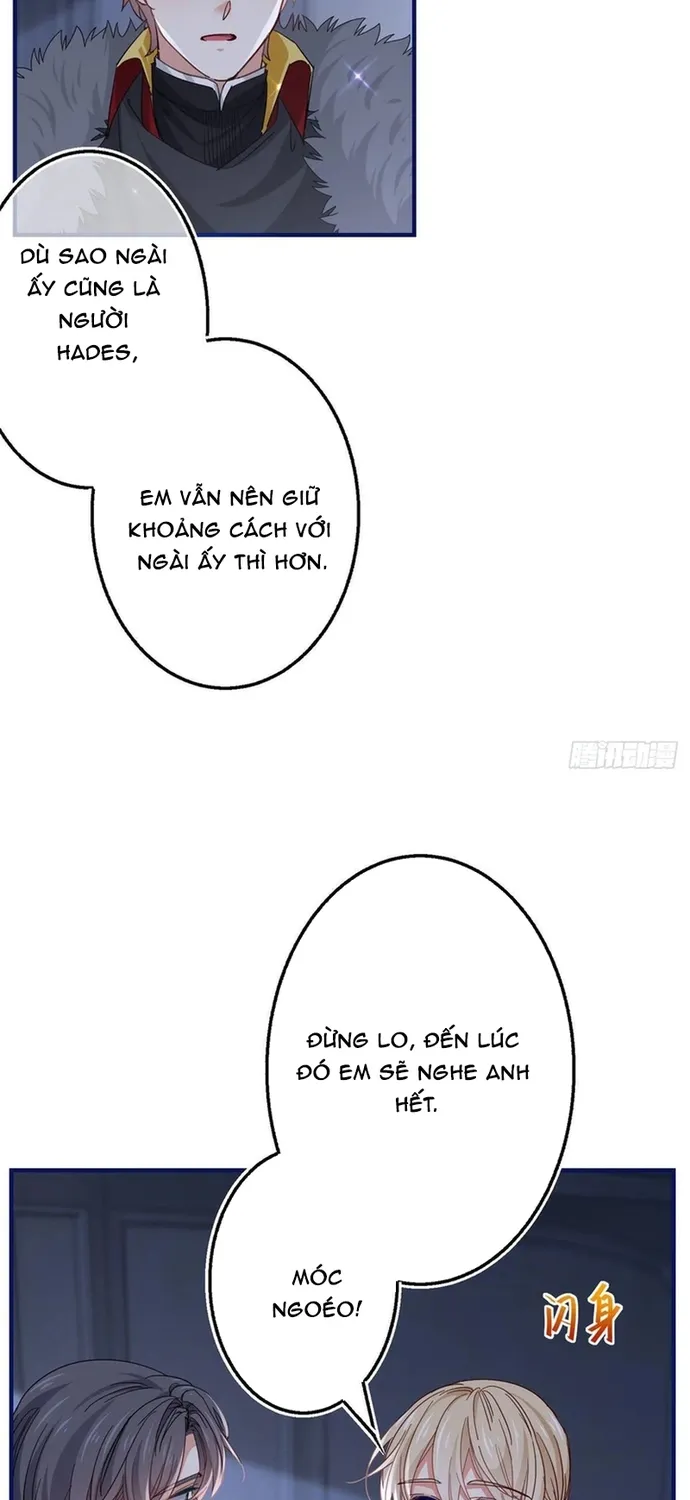 Chapter 114
