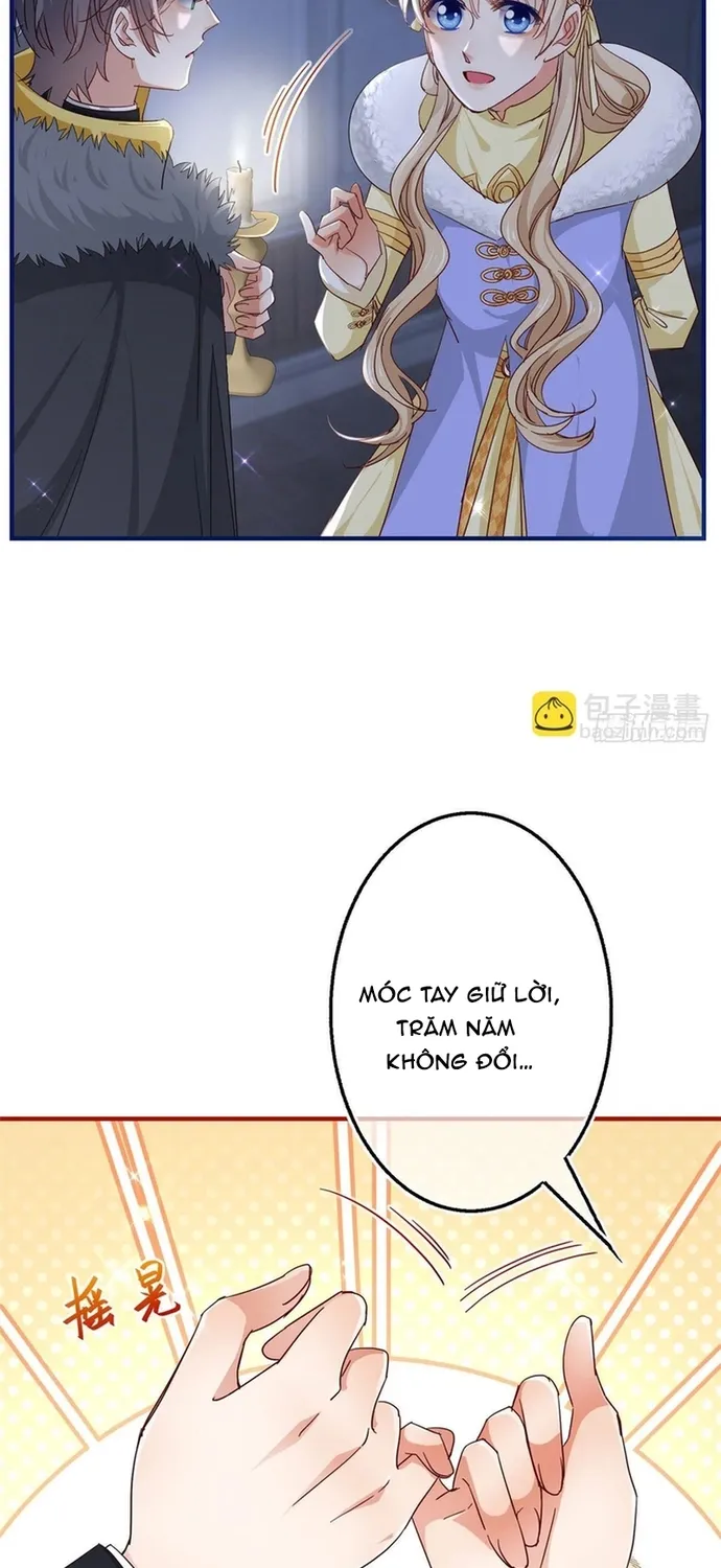 Chapter 114