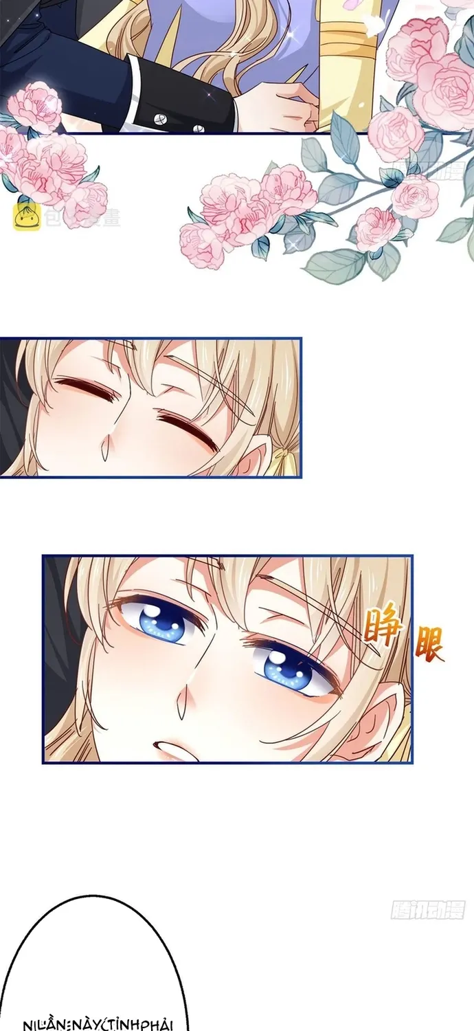 Chapter 114