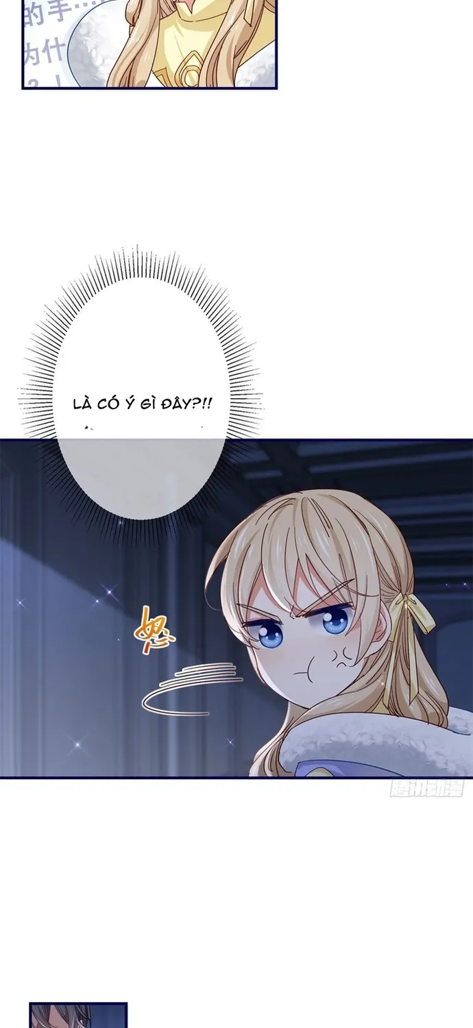 Chapter 114