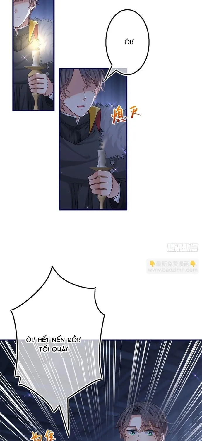 Chapter 114
