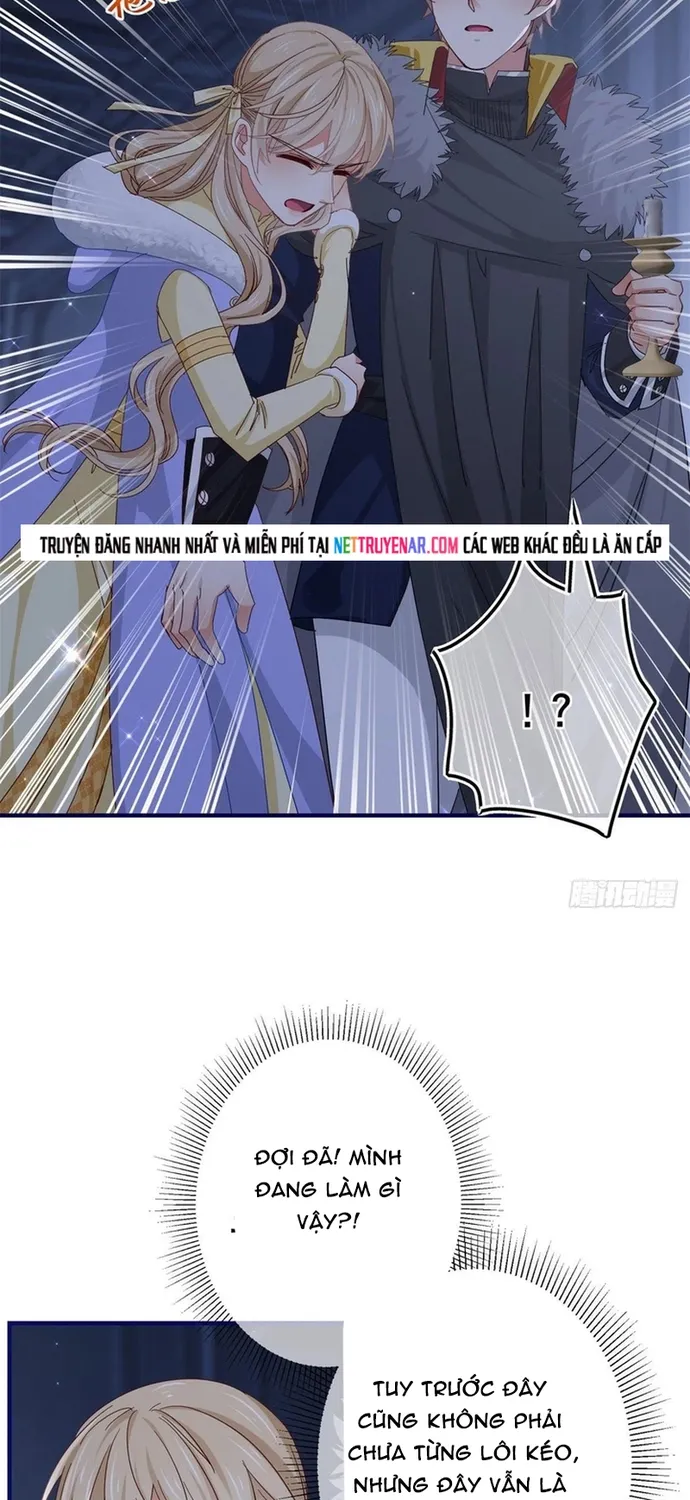 Chapter 114