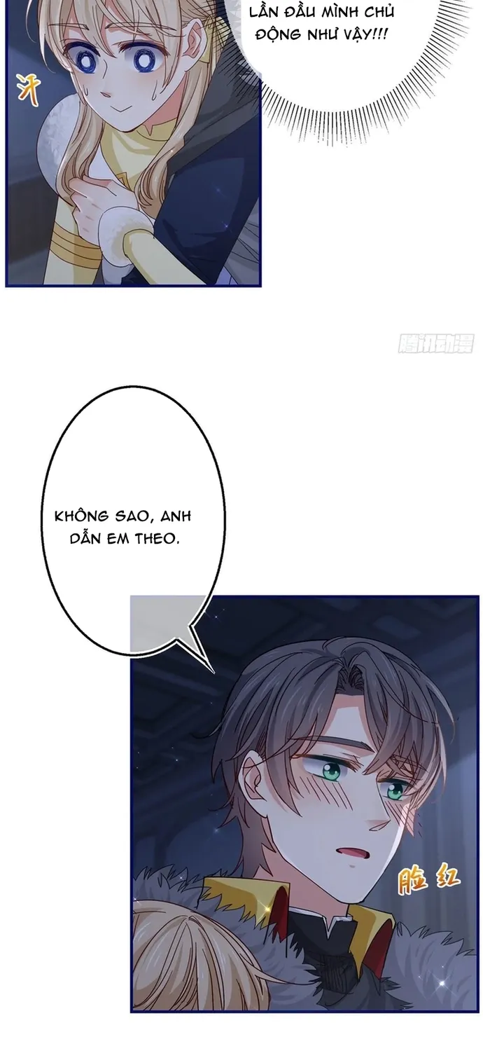 Chapter 114