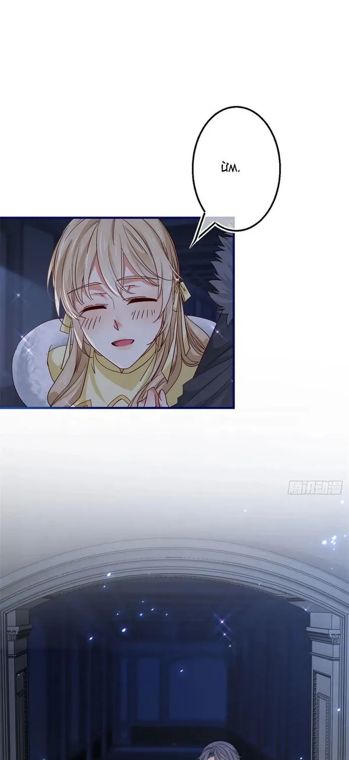 Chapter 114