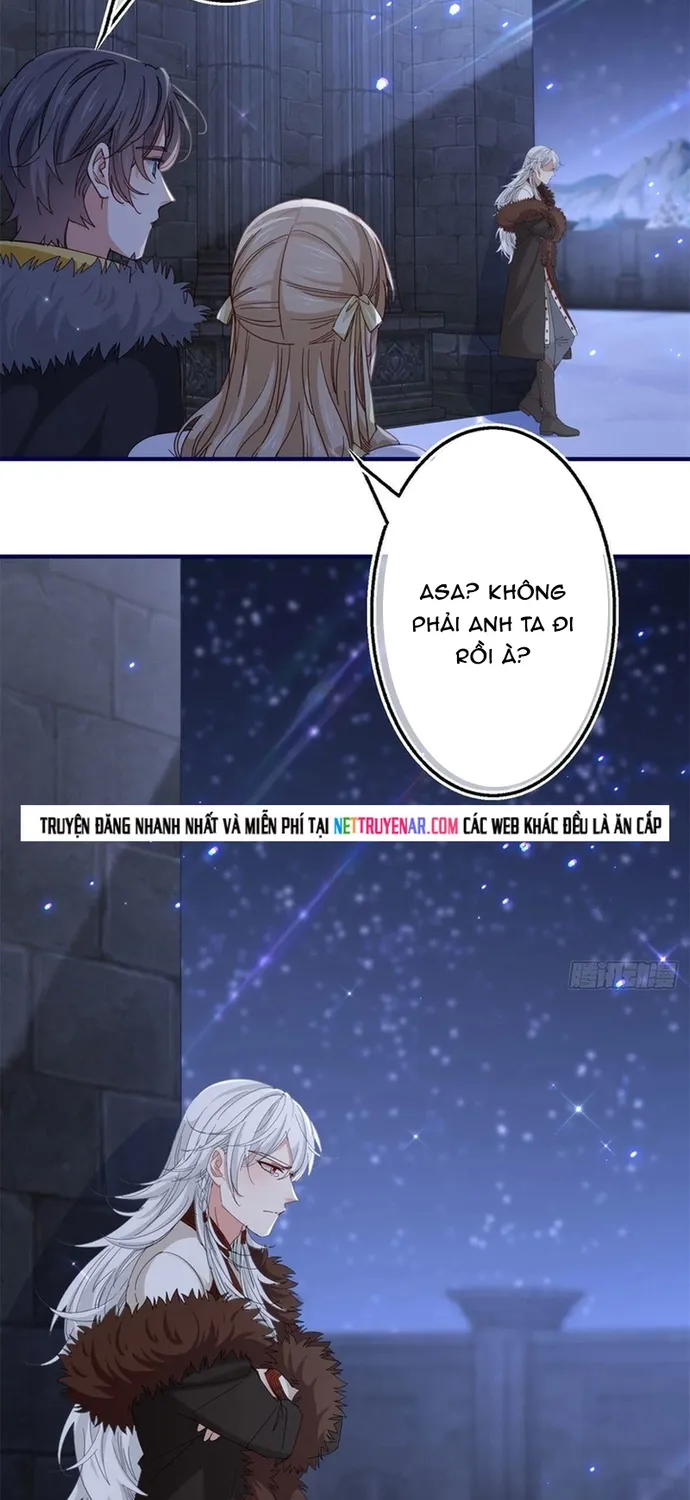 Chapter 114