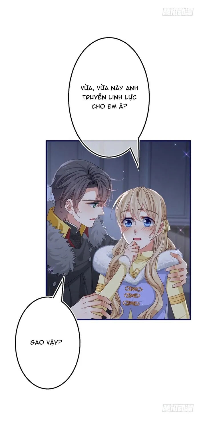 Chapter 114