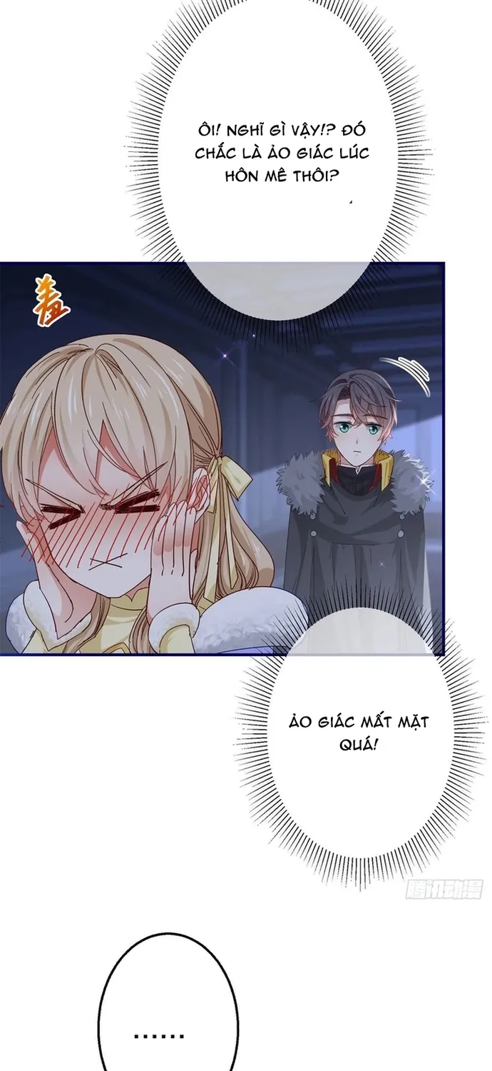 Chapter 114