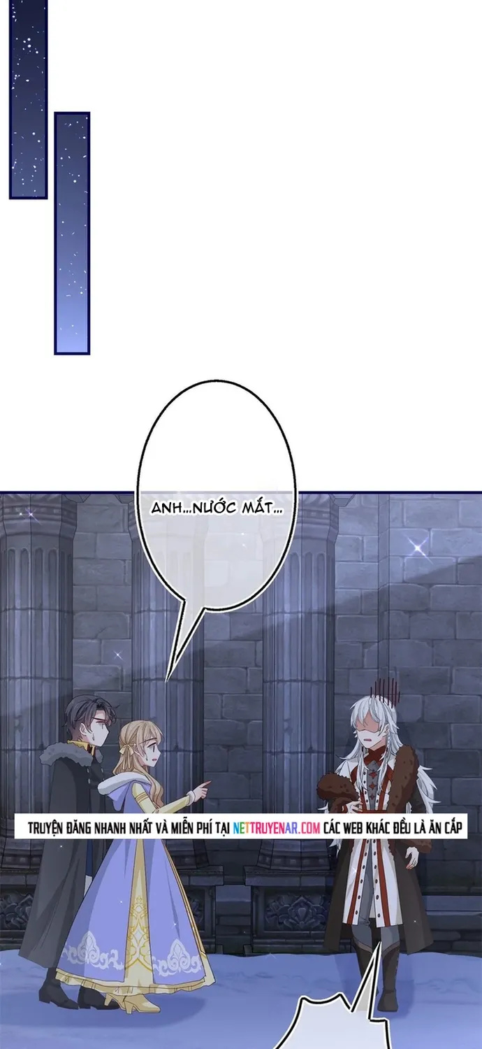 Chapter 115