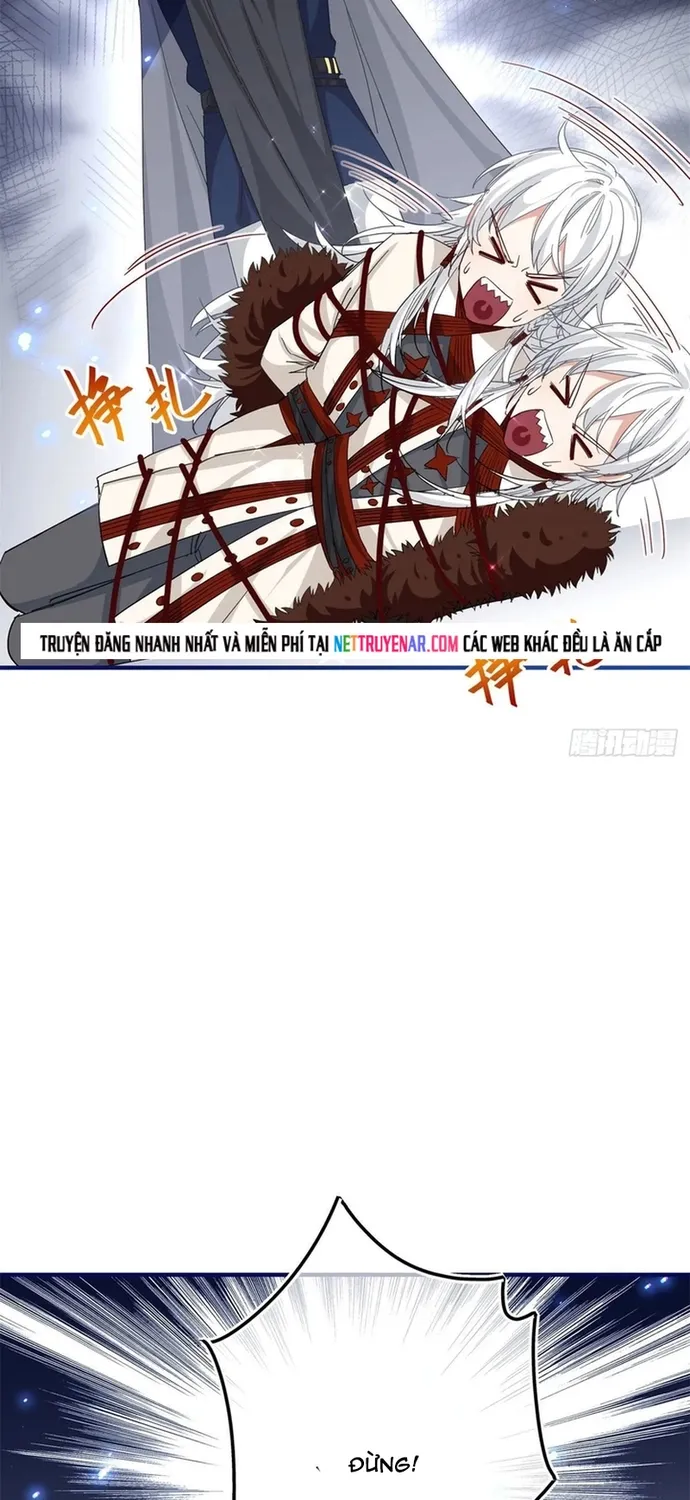 Chapter 115